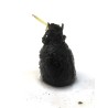 Aponogeton longiplumulosus lukovica