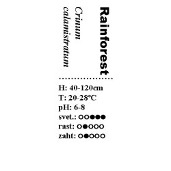 Crinum calamistratum
