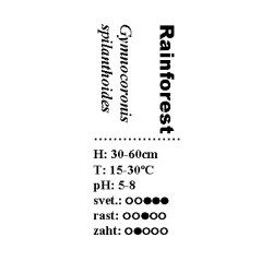 Gymnocoronis spilanthoides