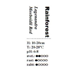 Lagenandra Meeboldii Red