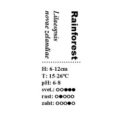 Lilaeopsis novae zelandiae