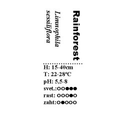 Limnopila sessiflora