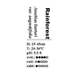 Anubias barteri var angustifolia