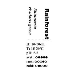 Shinnersia  rivularis green